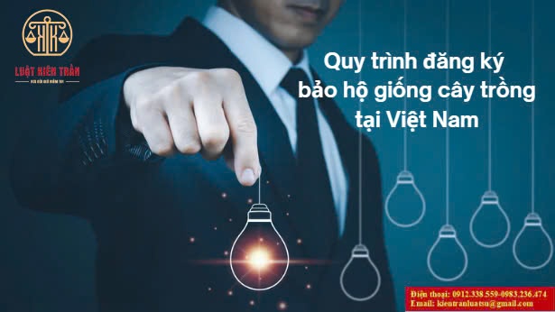 quy trình bào hộ giống cây trồng