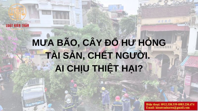 Cây đổ gây hư hỏng tài sản, chết người. Ai chịu trách nhiệm?